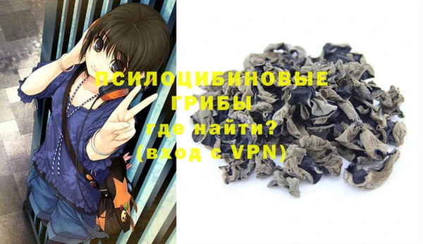 a pvp Кодинск