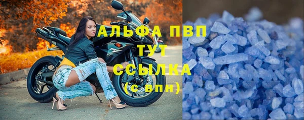 a pvp Кодинск
