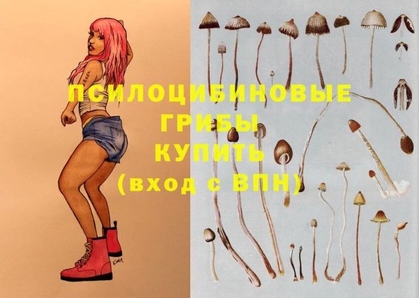 a pvp Кодинск