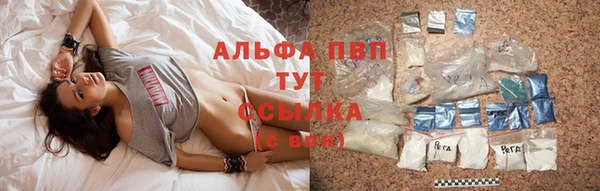 a pvp Кодинск