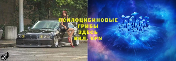 дурь Козельск