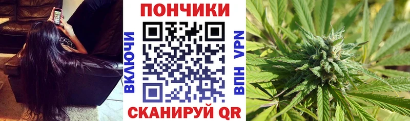Марихуана сатива  Купить где  Емва 